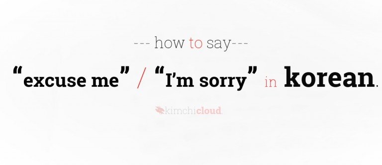 how-to-say-excuse-me-i-m-sorry-in-korean-kimchi-cloud