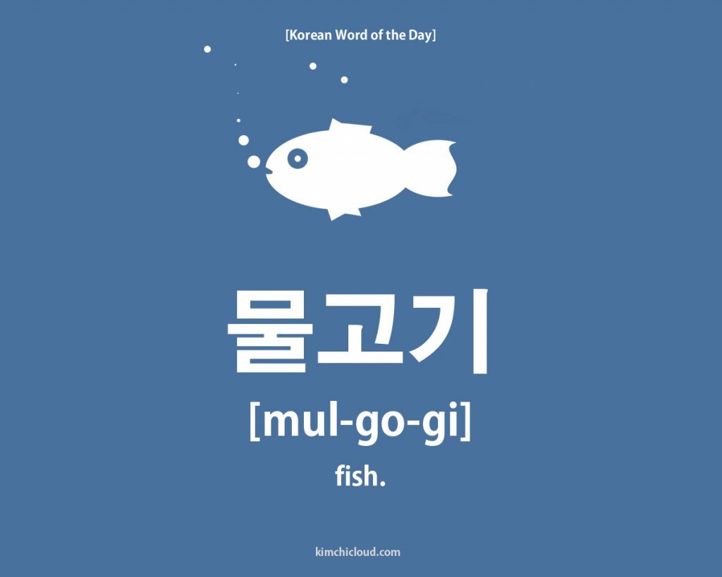 Korean Word of the Day: How to say Fish in Korean