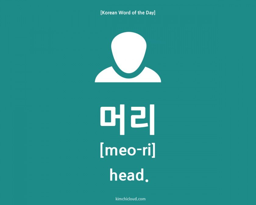Korean Word of the Day: How to say Head in Korean